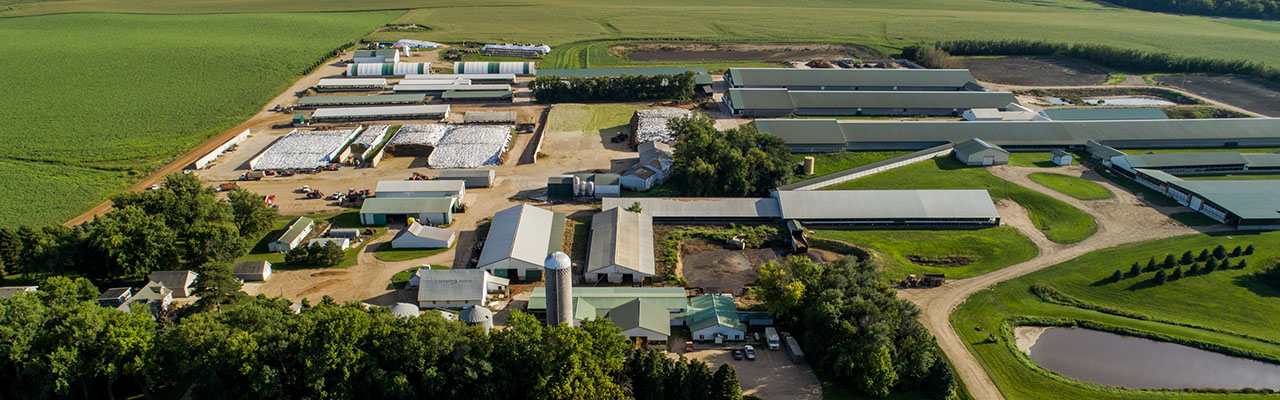 Farm Aerial